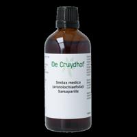 Natura Sanat Smilax off rad / sarsaparilla tinctuur 100 Milliliter