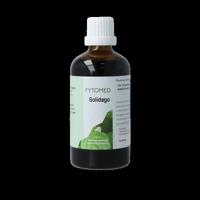 Solidago bio 100 Milliliter