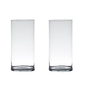 Set van 2x stuks transparante home-basics cylinder vaas/vazen van glas 30 x 12 cm