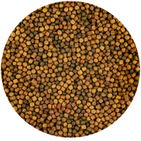 Vivani Japanse Mix Koi Voer 3mm - Premium Vijvervis Voeding, Kleur & Groei, 6kg