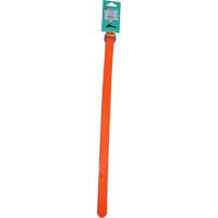 YAGO Jachthalsband - Oranje Fluo - Ultrabestendig voor honden YAGO Jachthalsband - Oranje Fluo - Ultrabestendig voor honden