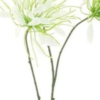 Spider flower spray cream 94 cm kunstbloem Erutan Avon - Erutan avon