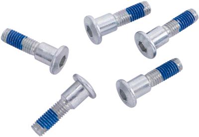 TRW bouten set screw set 5pcs. m8x1,25