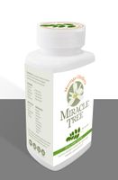 Moringa Oleifera Miracle Tree Capsules - thumbnail