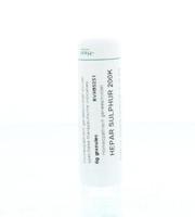 Homeoden Heel Hepar sulphur 200K 6 Gram