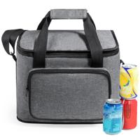 Benson koeltas Polar - inhoud 15 liter - grijs - 31 x 24 x 20 cm - Koeltassen - polyester/aluminium Benson koeltas Polar - inhoud 15 liter - grijs - 31 x 24 x 20 cm - Koeltassen - polyester/aluminium