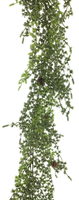 Lariks garland w/cones iced 195cm - Nova nature