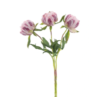 Paeony Marlie bundle a 3 pcs pink 63 cm kunstbloem Erutan Avon - Erutan avon