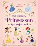 Deltas Disney prinses - Het magische Prinsessen sprookjesboek