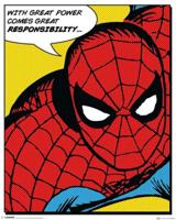 Poster Spider-Man Quote 40x50cm