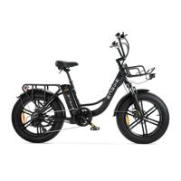 Engwe L20 Fatbike Zwart - Elektrische Scooter
