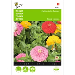 Zinnia Californische Reuzen gemengd