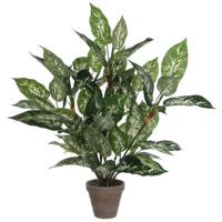 Mica Decorations Dieffenbachia Kunstplant - H70 x Ø55 cm - Groen