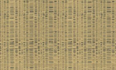Dutch Wallcoverings Yudashkin 5 10X1,06M - Goud