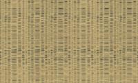 Dutch Wallcoverings Yudashkin 5 10X1,06M - Goud Dutch Wallcoverings Yudashkin 5 10X1,06M - Goud