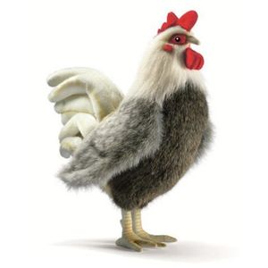 Boerderij knuffel haan/kip van 30 cm