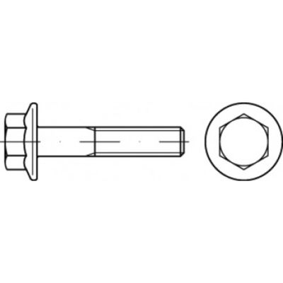 TOOLCRAFT TO-5391363 Zeskantbout M10 30 mm Buitenzeskant 200 stuk(s)
