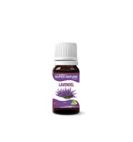 Lavendel