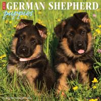 Duitse Herder Puppies Kalender 2026 Duitse Herder Puppies Kalender 2026