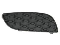 Ventilatiegrille, bumper 6502078109916P