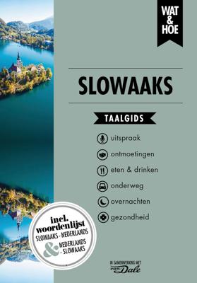 Slowaaks (Paperback)