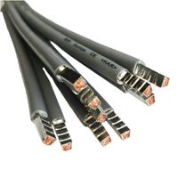 SEP bedrading 6mm2 l=250mm grijs 105gr. met adereindhulzen