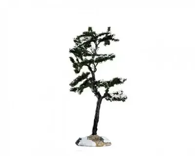 Marcescent tree small Marcescent tree small
