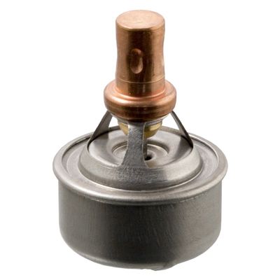 Thermostaat 09328
