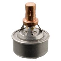 Thermostaat 09328