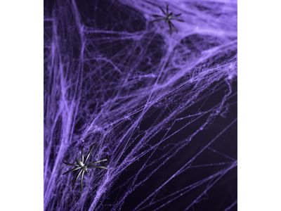 Spinnenweb Paars Halloween Met 2 Spinnen