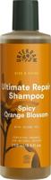 Rise and shine spicy orange shampoo 250 Milliliter