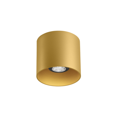Wever & Ducre - RAY 1.0 PAR16 Plafondlamp