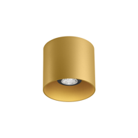 Wever & Ducre - RAY 1.0 PAR16 Plafondlamp