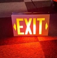 Exit Lichtbord Rood - Origineel - 30 x 20cm