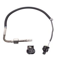Uitlaatgastemperatuursensor 100823