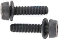 Campagnolo Mounting Bolts for Disc Brakes (Pack of 2)