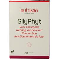 Silyphyt