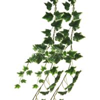 Bellatio Design kunstplant/hangplant slinger - 2x - Klimop/hedera - groen/wit - 180 cm