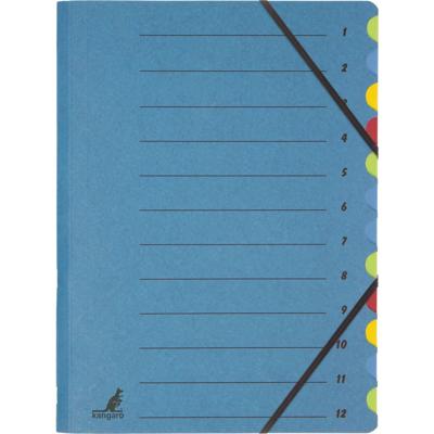 Kangaro K-3010-12 Sorteermap met 12 Tabs