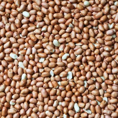 Kleine vliespinda&apos;s ongebrand 500 gram