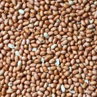 Kleine vliespinda&apos;s ongebrand 500 gram