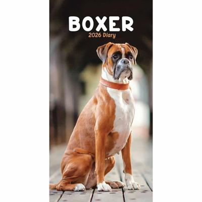 Boxer Slim Agenda 2026