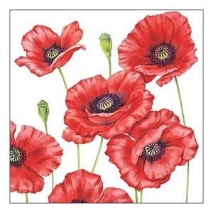 Klaprozen/poppy bloemen - 100x stuks - 33 x 33 cm - 3-laags