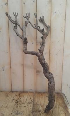 Decoratie tak groot 40 tot 60 cm Warentuin Natuurlijk - Warentuin natuurlijk