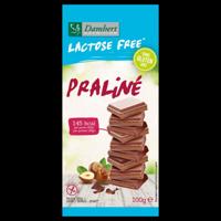 Damhert Chocoladetablet praline glutenvrij en lactosevrij 100 Gram