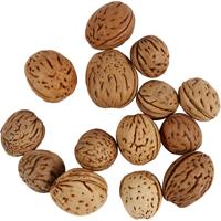Creativ Company Noten, 25 gram
