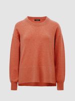 Trui Van Biologisch Cashmere