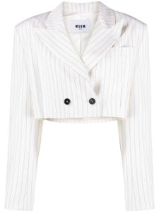 MSGM blazer crop à fines rayures - Blanc