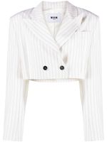 MSGM blazer crop à fines rayures - Blanc - thumbnail