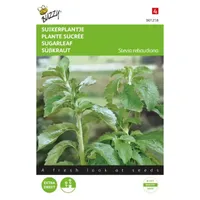 Stevia, Suikerplantje of Honingkruid